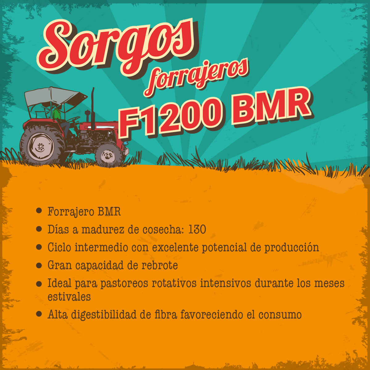 Forrajeros F1200 BMR