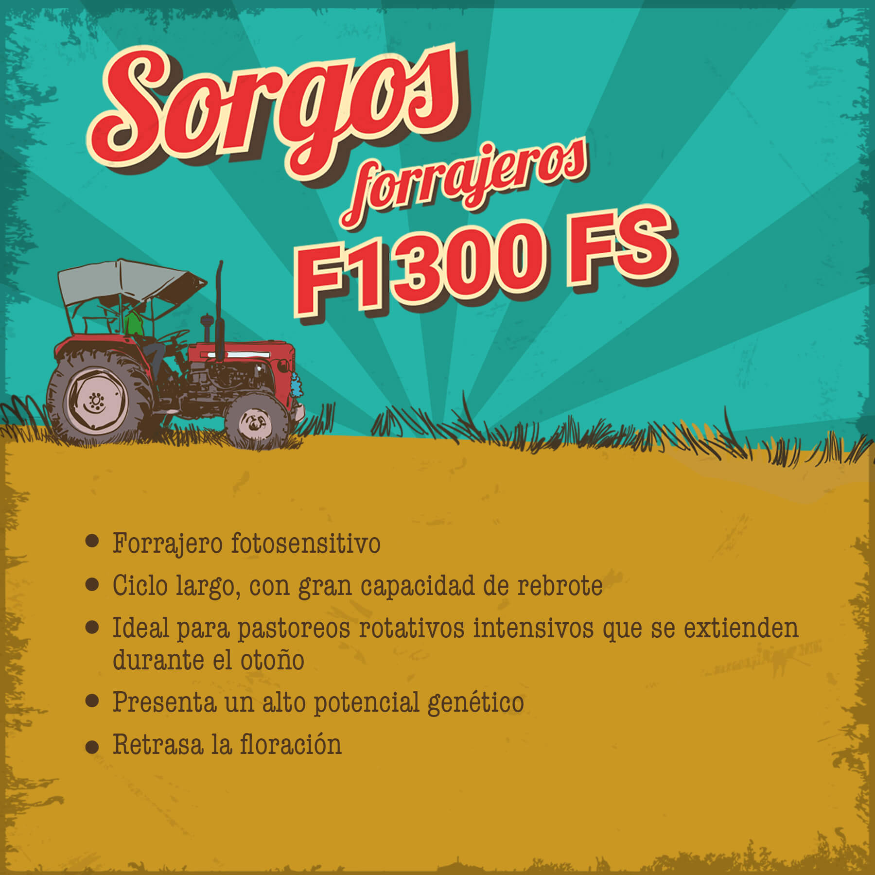 Forrajeros F1300 FS
