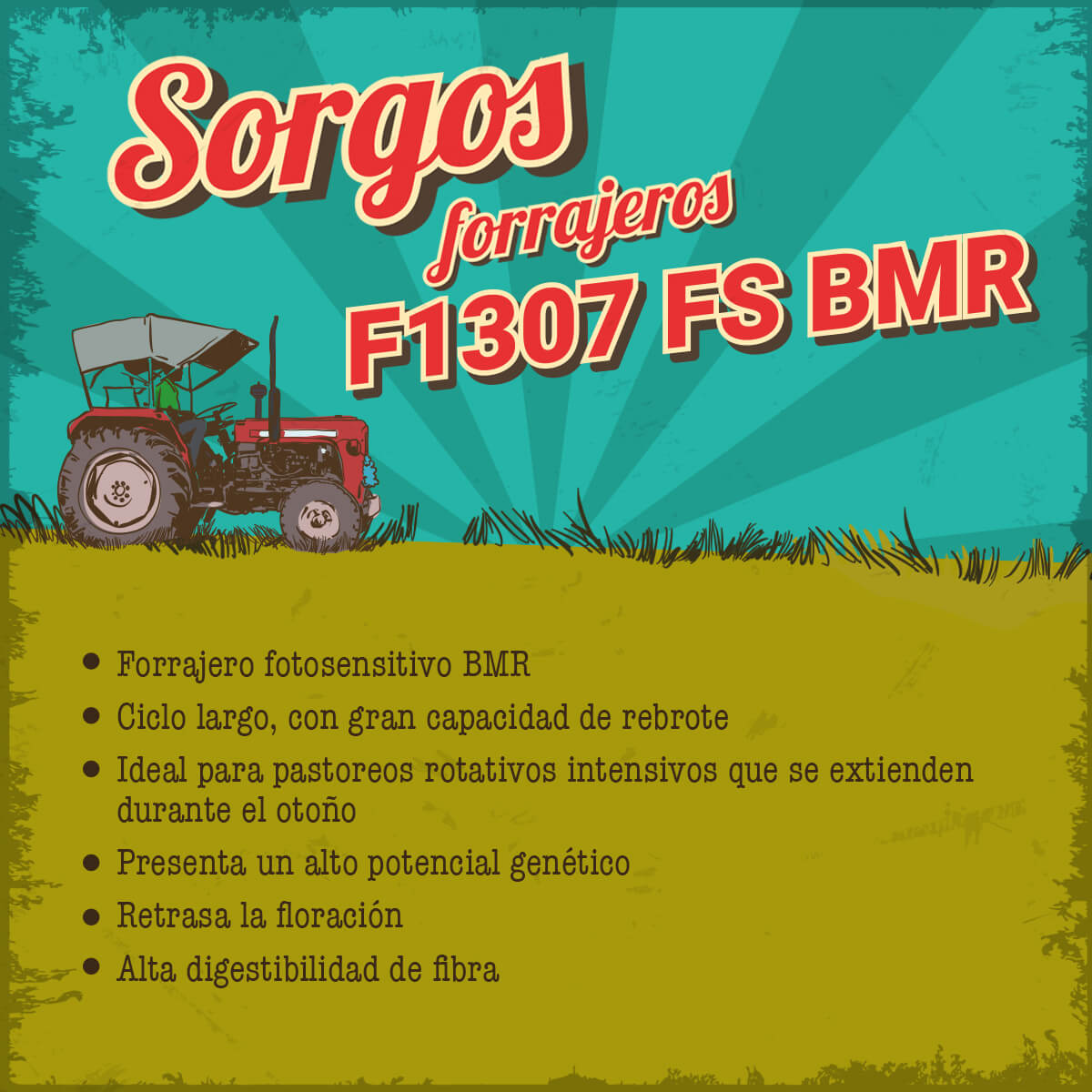 Forrajeros F1307 FS BMR