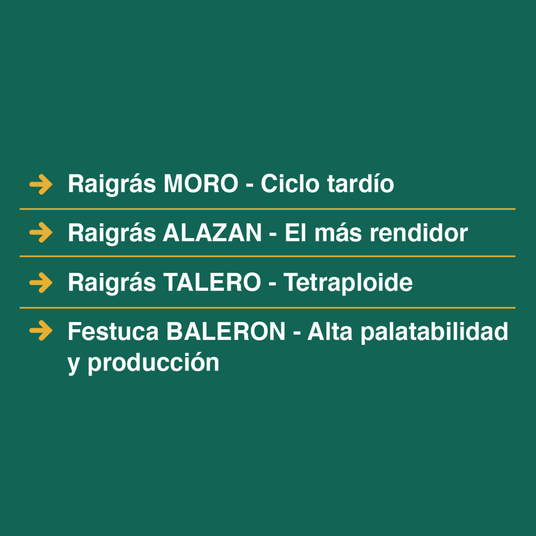 Festuca BALERON - Alta palatabilidad y producción