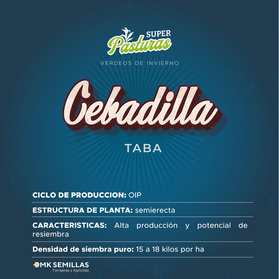 Raigrás ALAZAN - El más rendidor