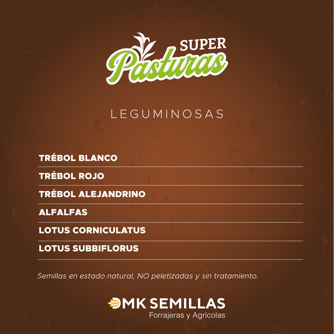 Raigrás ALAZAN - El más rendidor